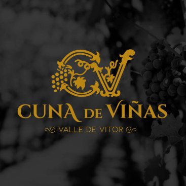 Portada del proyecto Cuna de Viñas