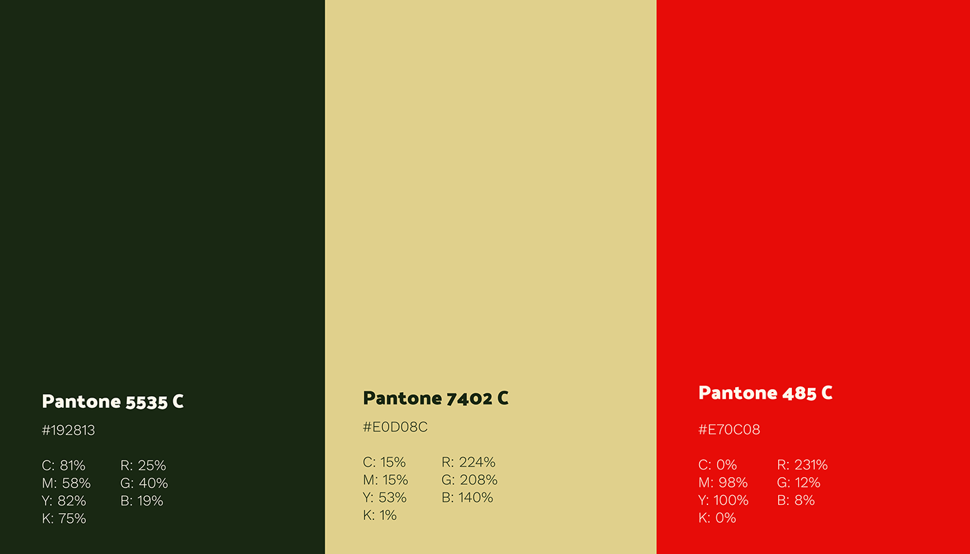 oliamerica-5 Paleta de colores del proyecto Oliamerica
