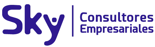 Consultores Empresariales SKY